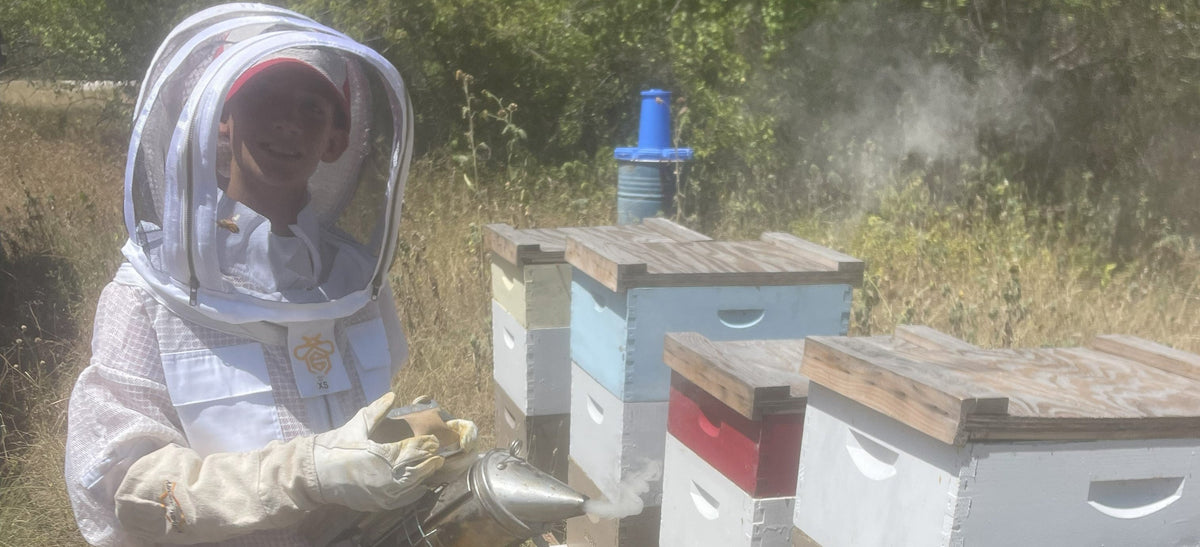 Beginner Beekeeping equipment and hive kit for backyard beekeepers in Fort Worth Texas