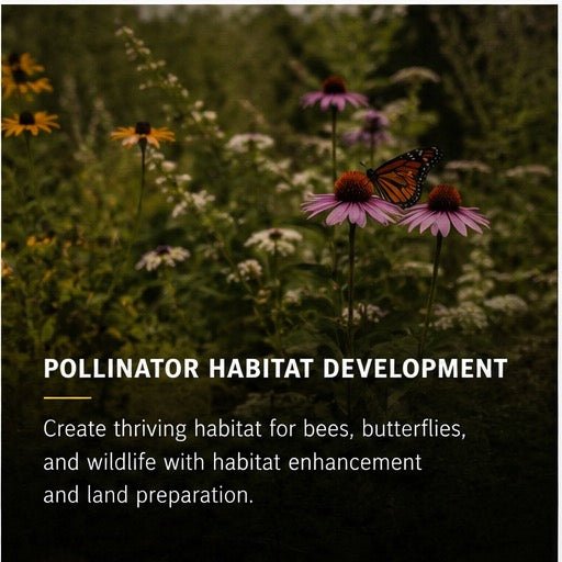 POLLINATOR HABITAT DEVELOPMENT - Ten Box Bees