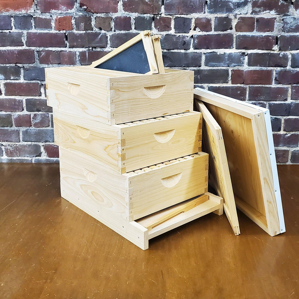 10 - Frame All - Medium Box Hive Kit Texas Honeybee Ag Exemption Program Fort Worth Ten Box Bees
