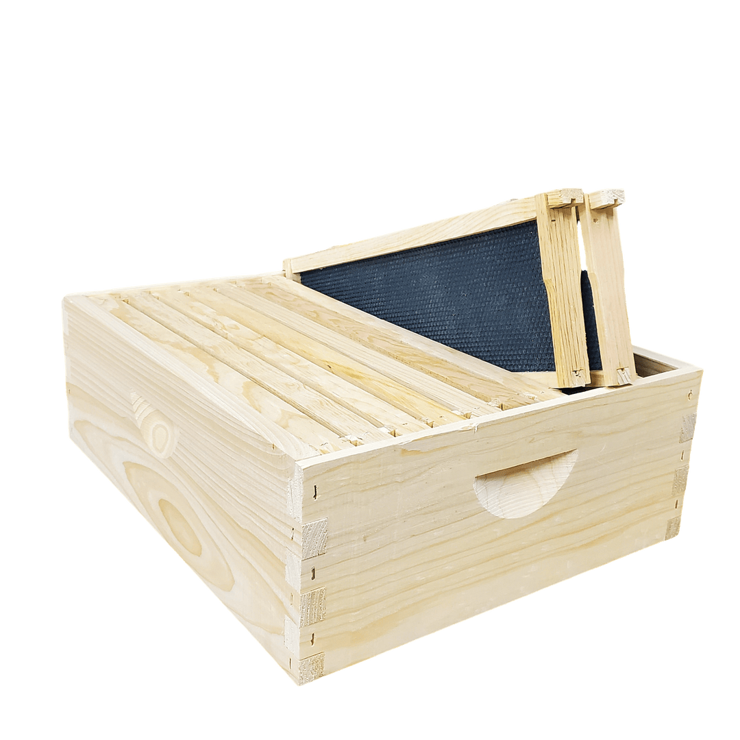 10 - Frame Complete, Medium 6 5/8 - inch Box with Frames and Foundation Texas Honeybee Ag Exemption Program Fort Worth Ten Box Bees