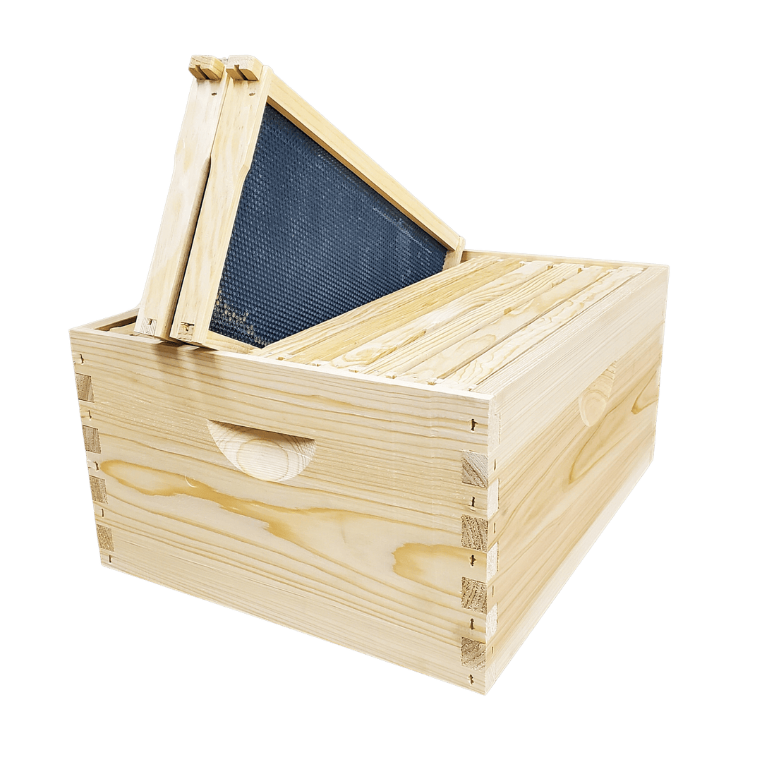 10 - Frame Completed, Deep 9 5/8 - inch Box with Frames and Foundation Texas Honeybee Ag Exemption Program Fort Worth Ten Box Bees