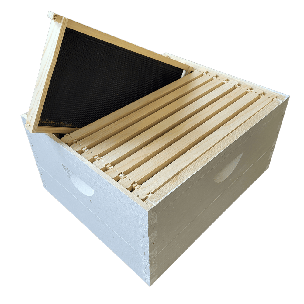 10 - Frame Completed, Deep 9 5/8 - inch Box with Frames and Foundation Texas Honeybee Ag Exemption Program Fort Worth Ten Box Bees
