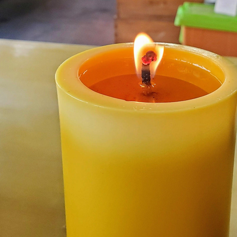 3 - Inch Wide Beeswax Pillar Candles Texas Honeybee Ag Exemption Program Fort Worth Ten Box Bees