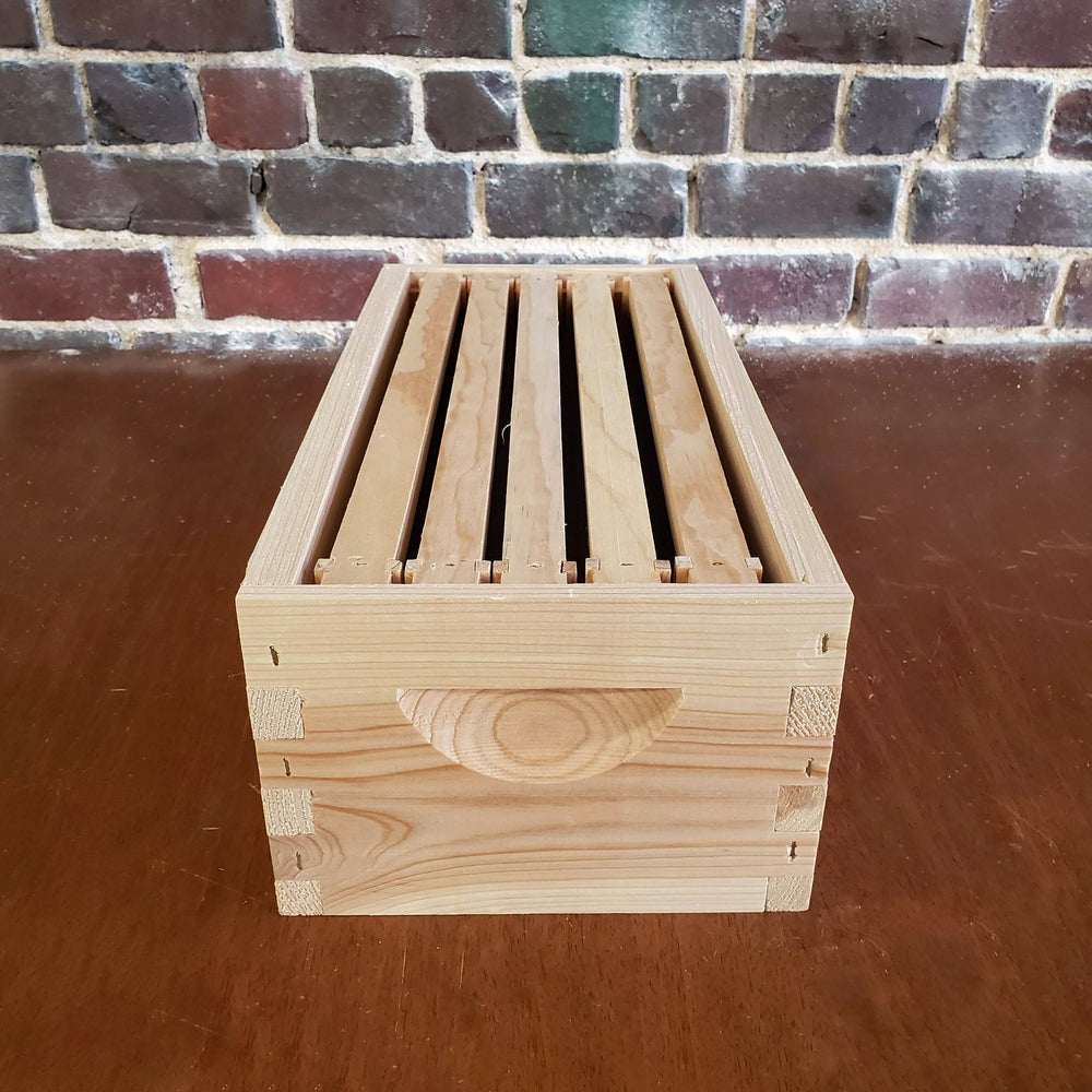 5 - Frame Complete, Medium 6 5/8 - inch Box with Frames and Foundation Texas Honeybee Ag Exemption Program Fort Worth Ten Box Bees