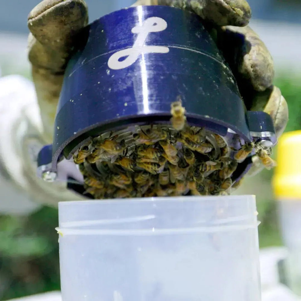 Queen Excluder for EasyCheck® Mite Wash Texas Honeybee Ag Exemption Program Fort Worth Ten Box Bees