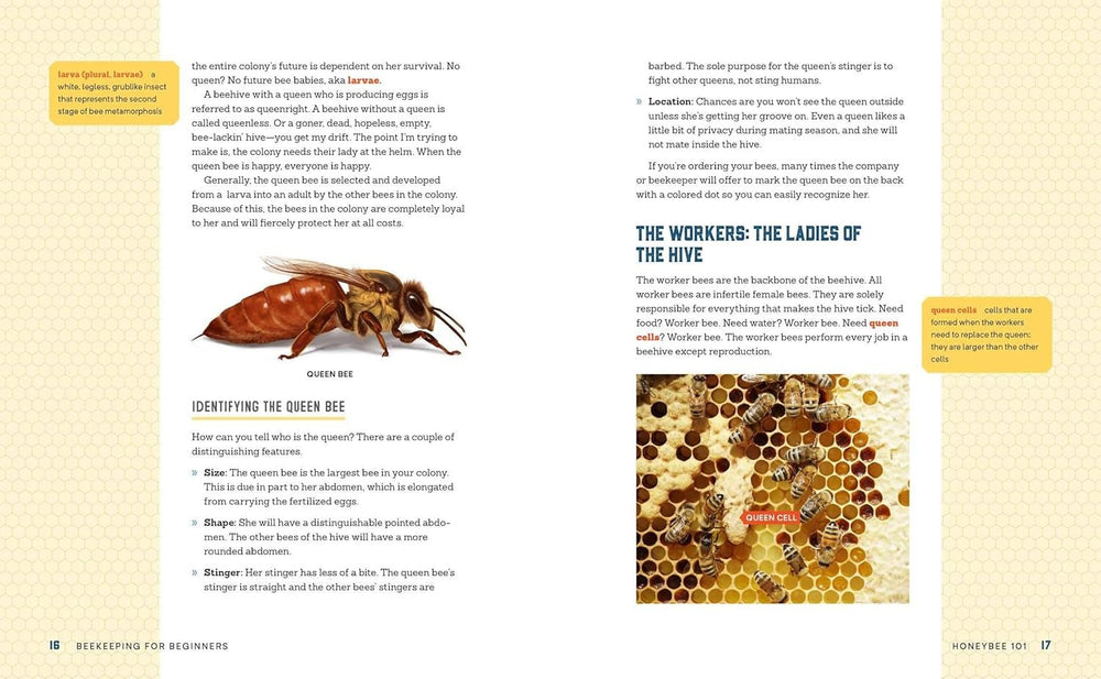 Beekeeping for Beginners: How to Raise Your First Bee Colonies Texas Honeybee Ag Exemption Program Fort Worth Ten Box Bees